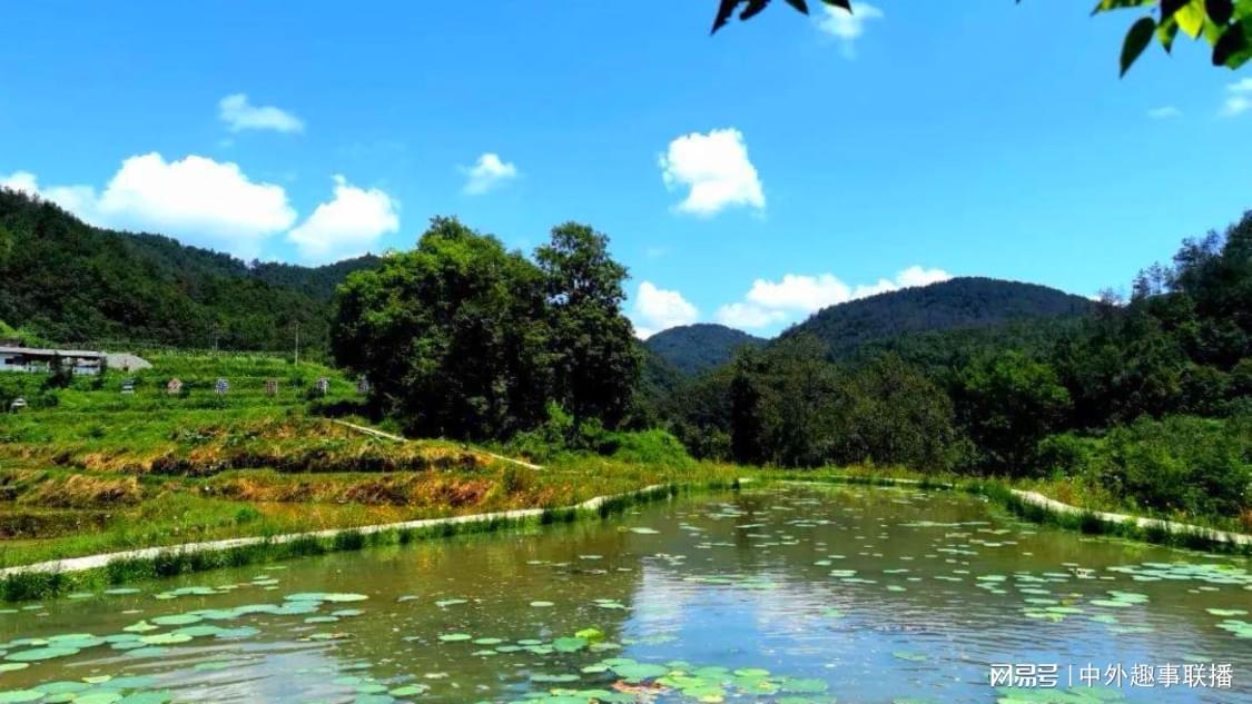 昨日弹窗推广精细化搭建您的带货商城:赋能内容传播的利器,抖音微信自助下单业务：网络自助服务便捷操作指南