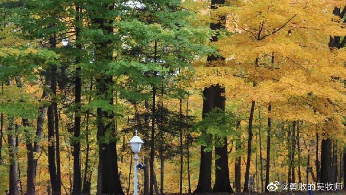 刚刚口碑推广轻量化搭建您的网络平台:账号运营与内容推广的一站式解决方案旬老人与保姆发生性关系感染